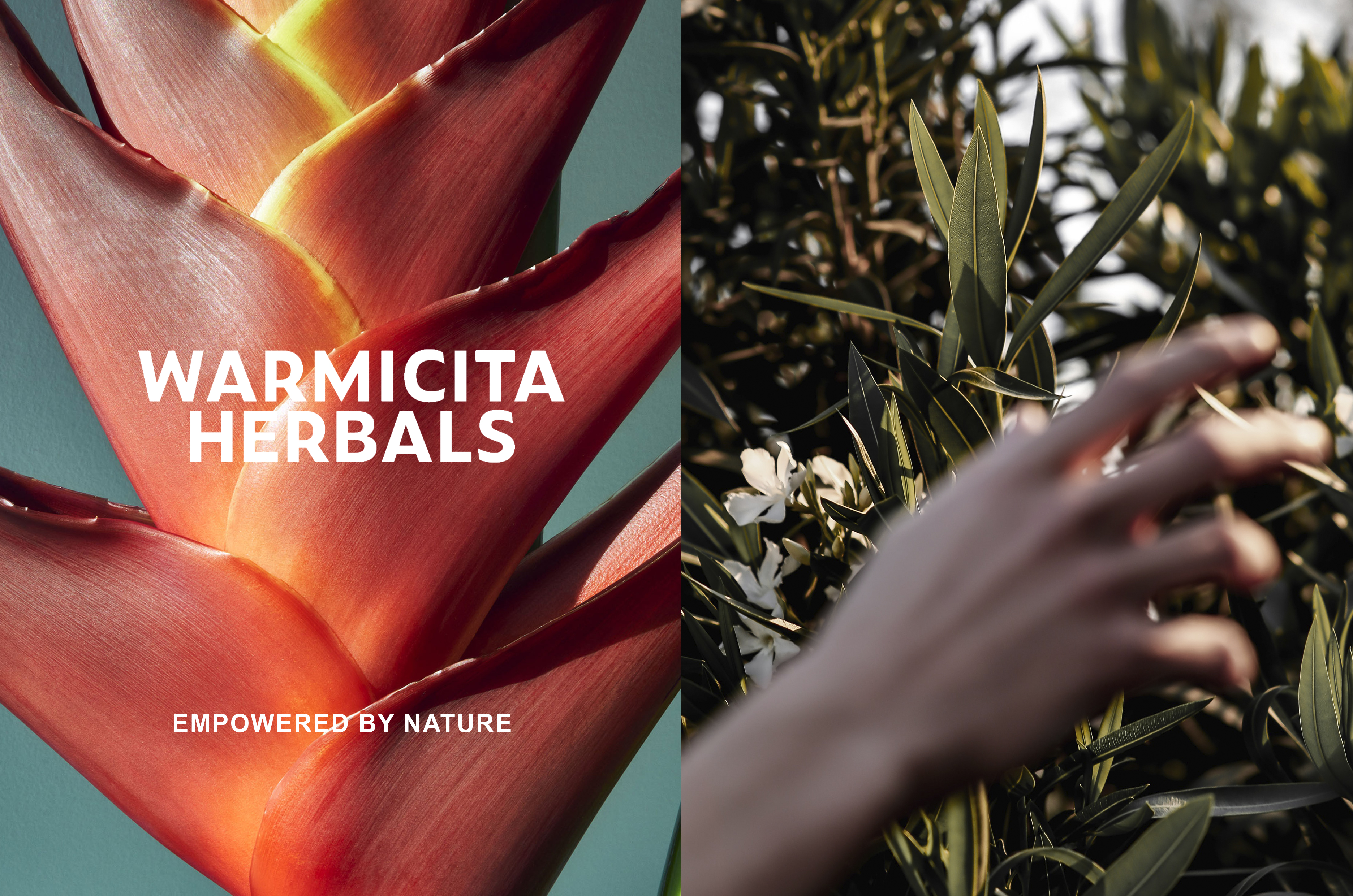 warmicitaherbals-brand