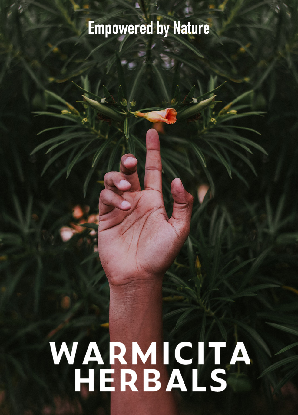 warmicitaherbals